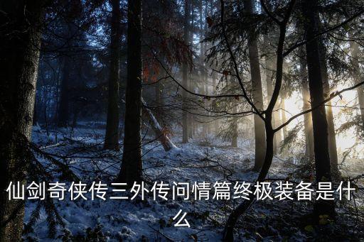 仙劍奇俠傳三外傳問情篇終極裝備是什么