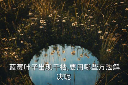 南方藍莓用什么農藥,南方種藍莓什么品種好