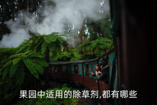 什么農藥噴草好用,種菜前打什么農藥沒草