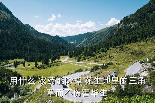 種花生后用什么農藥好,花生要打什么農藥