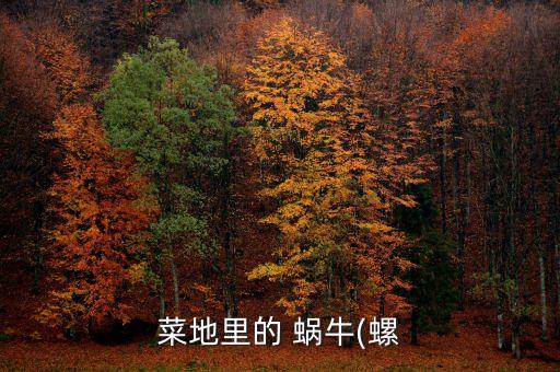 蝸牛用什么農(nóng)藥打菜,菜里有蝸牛 說(shuō)明沒(méi)打農(nóng)藥嗎