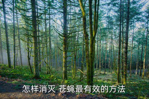 用什么農藥可以治蒼蠅,什么農藥能大量殺死蒼蠅