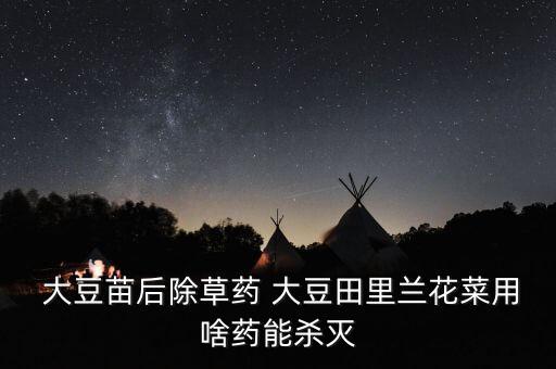 大豆打藥用什么農藥好,大豆什么時間打藥好