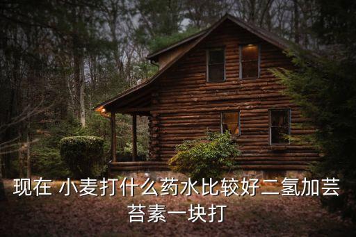 現在 小麥打什么藥水比較好二氫加蕓苔素一塊打