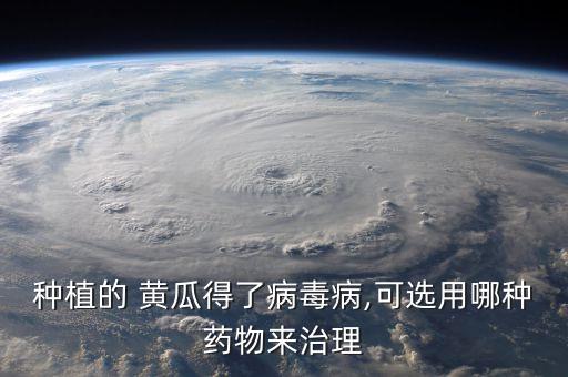 黃瓜打農藥噴霧用什么藥,黃瓜灌根用什么農藥?