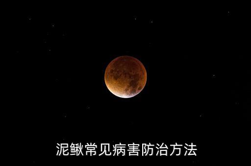 泥鰍養殖要用什么農藥,泥鰍的養殖方法和技術視頻