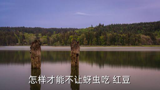 紅豆有蟲子打什么農藥,紅豆的蟲子叫什么蟲