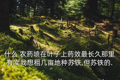 什么 農藥噴在葉子上藥效最長久那里有賣我想租幾畝地種蘇鐵,但蘇鐵的...