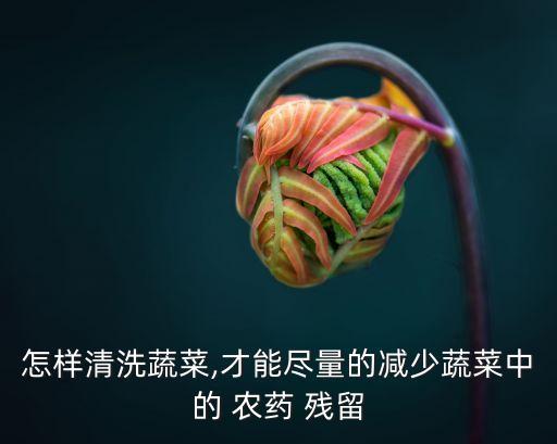 生菜用什么去農藥殘留最好