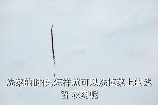 去除蔬菜的農(nóng)藥用什么去,蔬菜浸泡多長時(shí)間去除農(nóng)藥