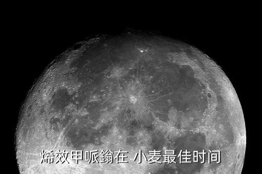 烯效甲哌鎓在 小麥最佳時(shí)間