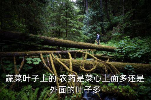 農藥殘留最多什么部位,植物中農藥殘留最高的部位