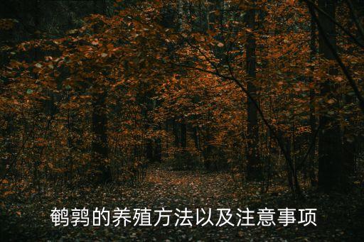 鵪鶉的養殖方法以及注意事項