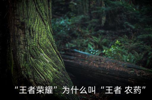 “王者榮耀”為什么叫“王者 農藥”