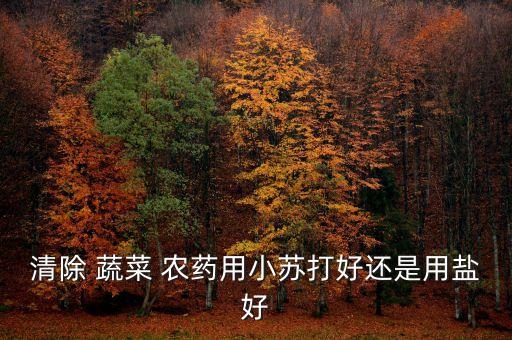 清除 蔬菜 農藥用小蘇打好還是用鹽好