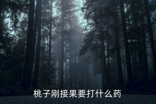 桃子剛接果要打什么藥