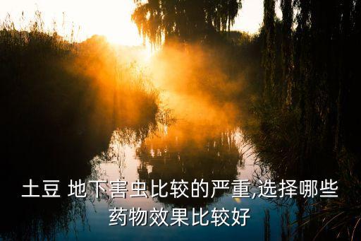 土豆 地下害蟲比較的嚴(yán)重,選擇哪些藥物效果比較好