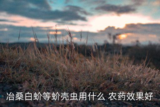 冶桑白蚧等蚧殼蟲用什么 農藥效果好