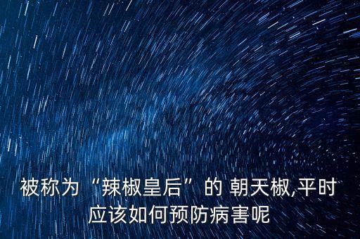 被稱為“辣椒皇后”的 朝天椒,平時應該如何預防病害呢