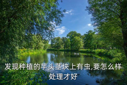 香芋殺菌打什么農藥,香芋用什么農藥最好