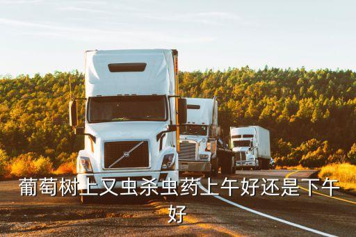 葡萄樹(shù)上又蟲(chóng)殺蟲(chóng)藥上午好還是下午好