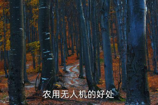 打農藥的那個機器是什么,不打農藥是什么意思