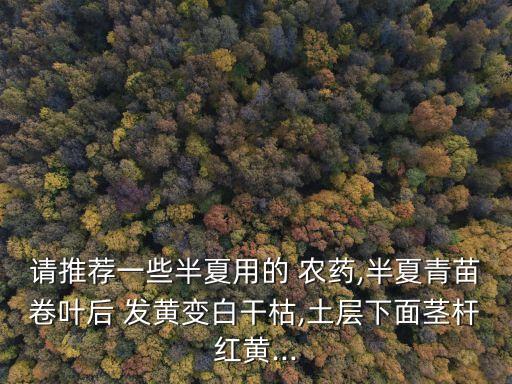 農藥葉子發黃用什么藥,蔥葉子發黃打什么藥