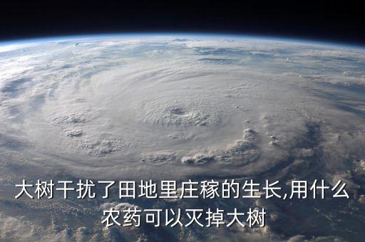 大樹干擾了田地里莊稼的生長,用什么 農藥可以滅掉大樹