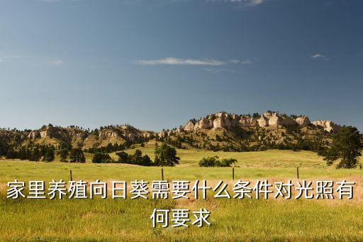 家里養殖向日葵需要什么條件對光照有何要求