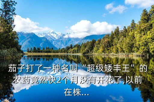 什么農(nóng)藥讓茄子又大又長(zhǎng),茄子不能用什么農(nóng)藥