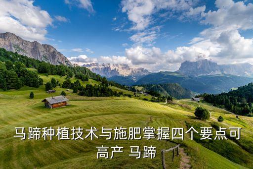 種馬蹄用什么農藥最好,馬蹄什么地方出的最好吃?