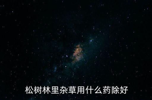 松樹桿蟲蛀用什么農藥