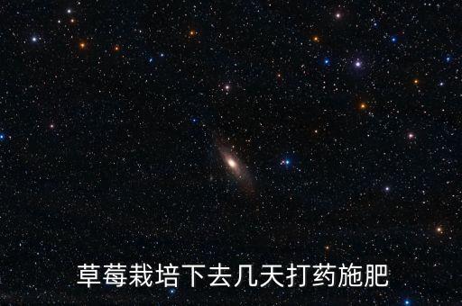  草莓栽培下去幾天打藥施肥