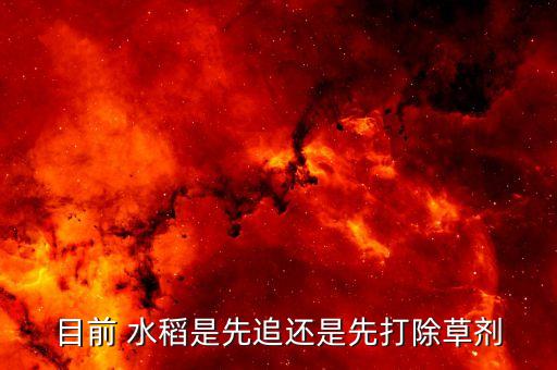 目前 水稻是先追還是先打除草劑