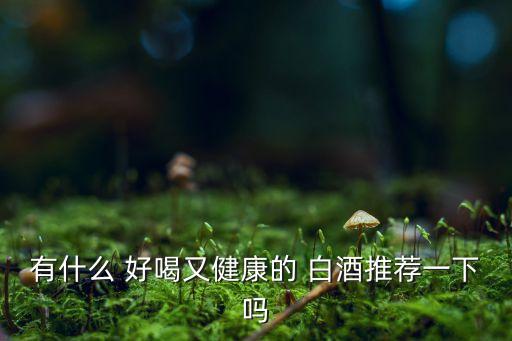有什么 好喝又健康的 白酒推薦一下嗎