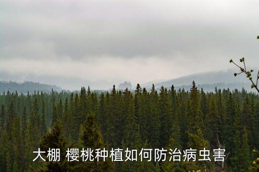 櫻桃要用什么農(nóng)藥殺菌,櫻桃現(xiàn)在打什么農(nóng)藥