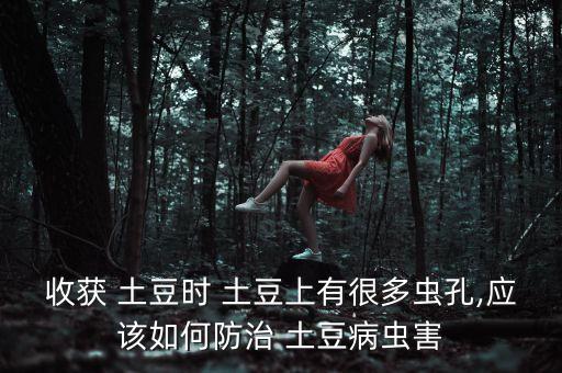 收獲 土豆時 土豆上有很多蟲孔,應該如何防治 土豆病蟲害