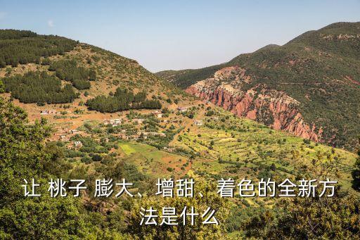 讓 桃子 膨大、增甜、著色的全新方法是什么