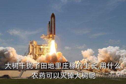 大樹干擾了田地里莊稼的生長,用什么 農藥可以滅掉大樹呢
