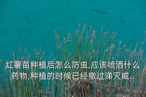 紅薯苗種植后怎么防蟲,應該噴灑什么藥物,種植的時候已經撒過涕滅威...