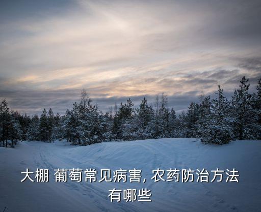 葡萄農藥多了會引發什么