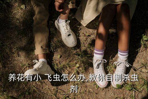 養花有小 飛蟲怎么辦,教你自制殺蟲劑