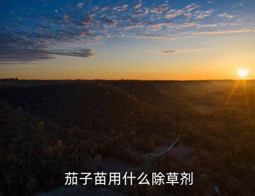  茄子苗用什么除草劑