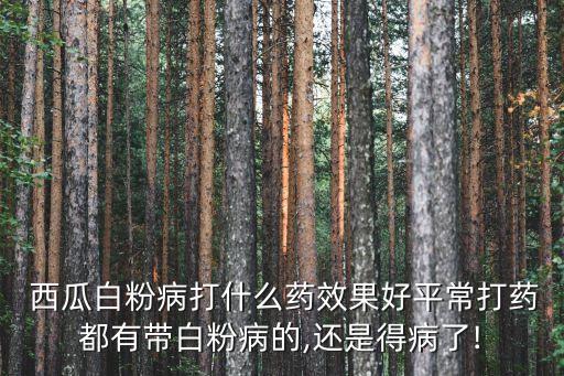 什么農(nóng)藥對西瓜最好,西瓜用什么農(nóng)藥殺蟲