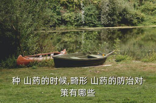 種 山藥的時候,畸形 山藥的防治對策有哪些