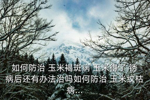 玉米高感南方銹病是什么意思,玉米專治銹病的農藥是什么