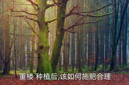 重樓 種植后,該如何施肥合理