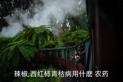 辣椒,西紅柿青枯病用什麼 農藥