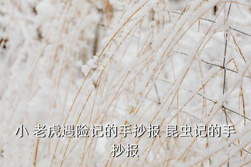 小 老虎遇險記的手抄報 昆蟲記的手抄報