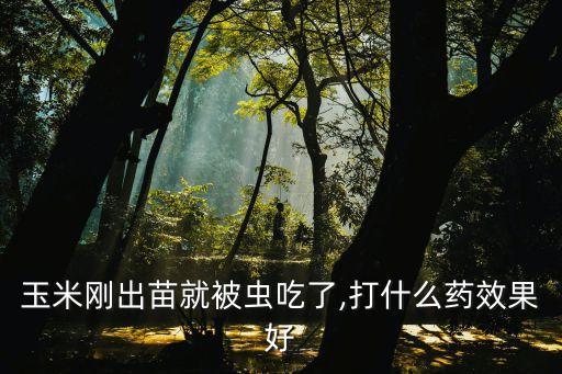 玉米地里治蟲打什么農藥